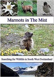 A DVD Film showing the Wildlife of South West Switzerland